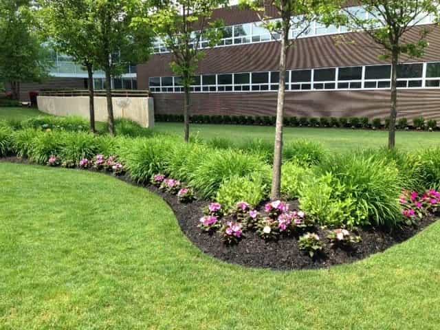 Commercial Landscaping & Grounds Maintenance Cost Melbourne: 2026 Price Guide