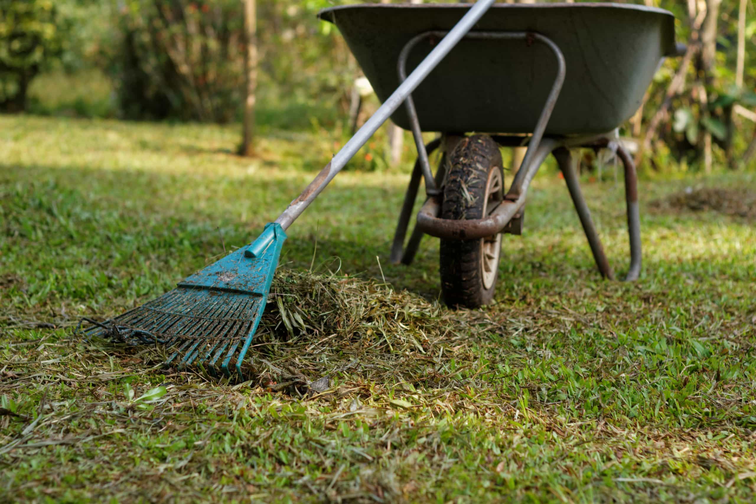 NDIS garden clean up Melbourne