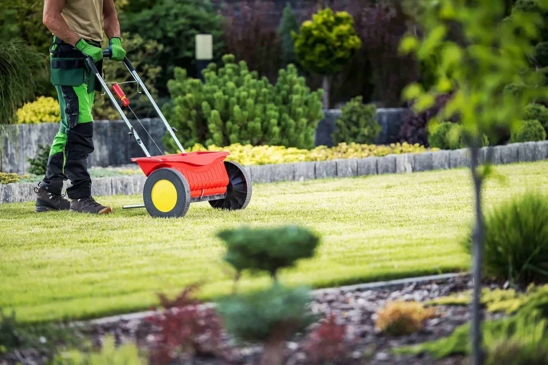 NDIS garden maintenance Melbourne lawn care service