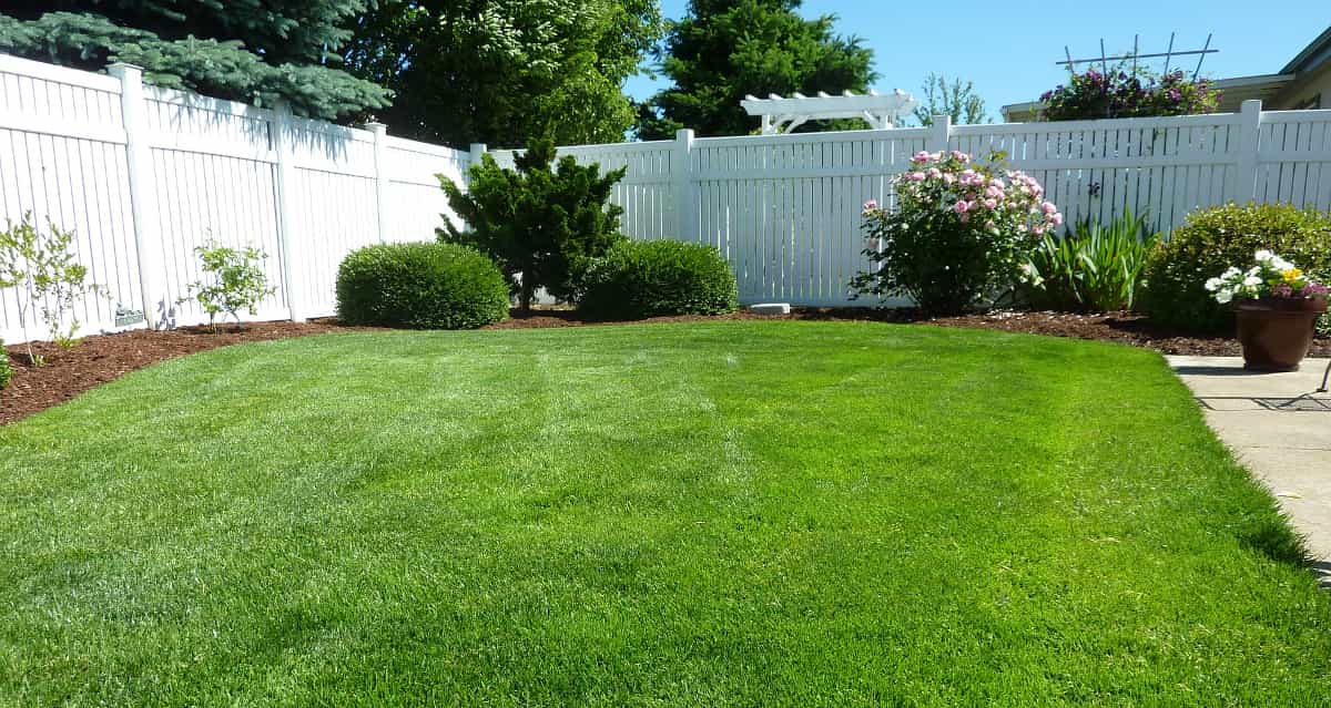 Healthy green lawn Melbourne