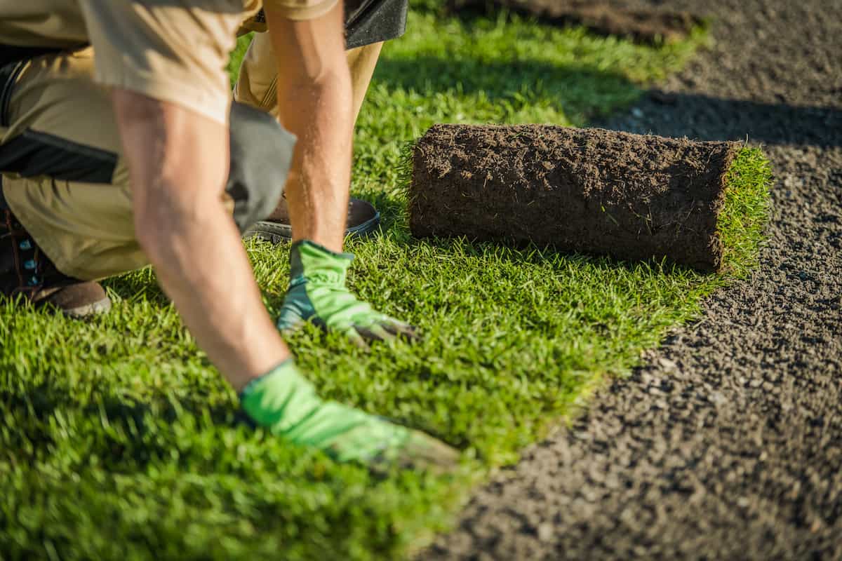Instant turf installation Toorak natural grass lawn