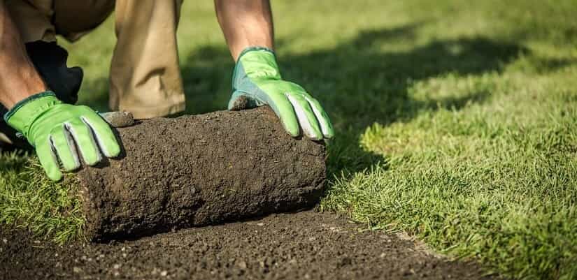 Lawn aeration Melbourne service