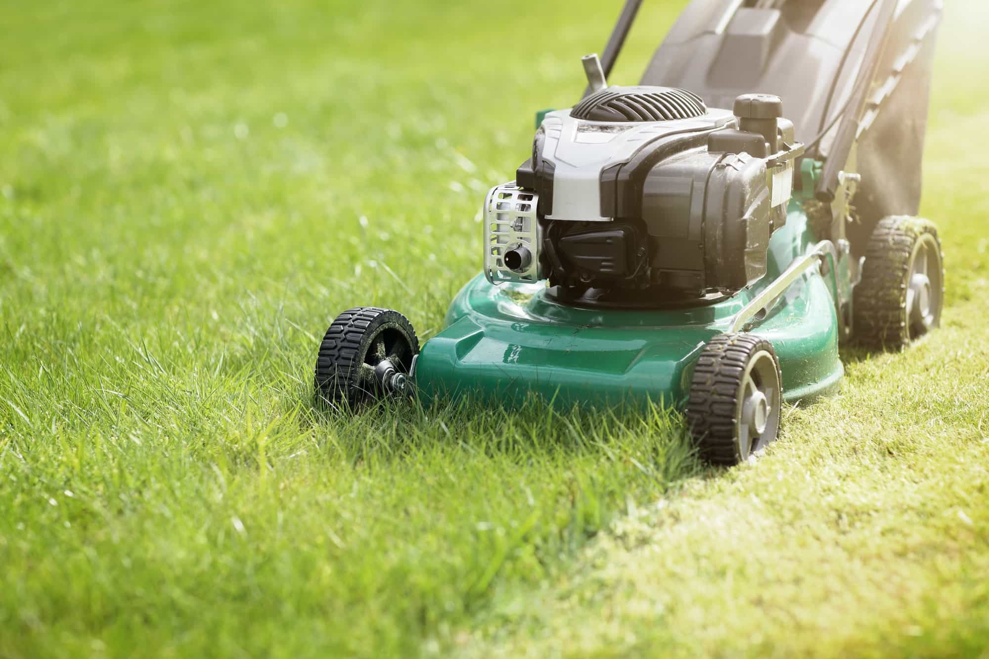 NDIS lawn mowing Melbourne service