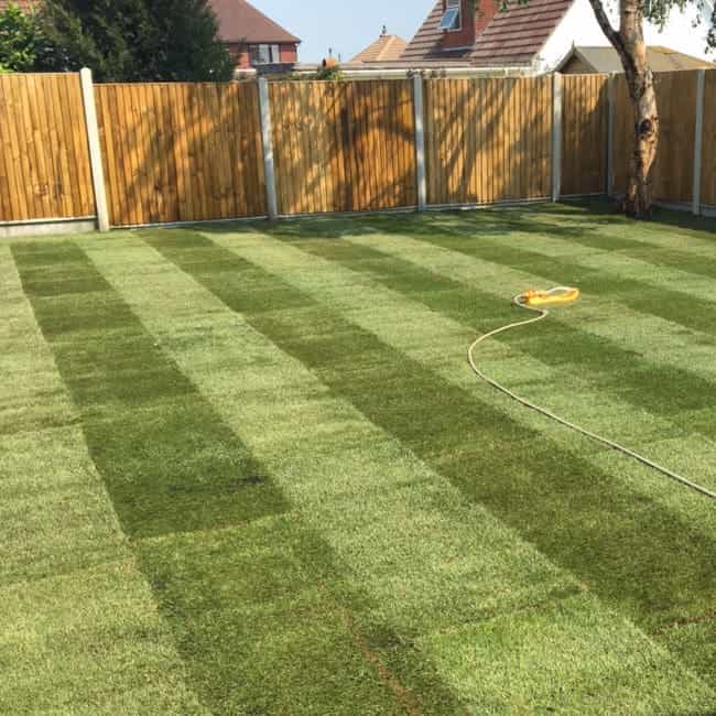 New turf laid in a northern suburbs backyard