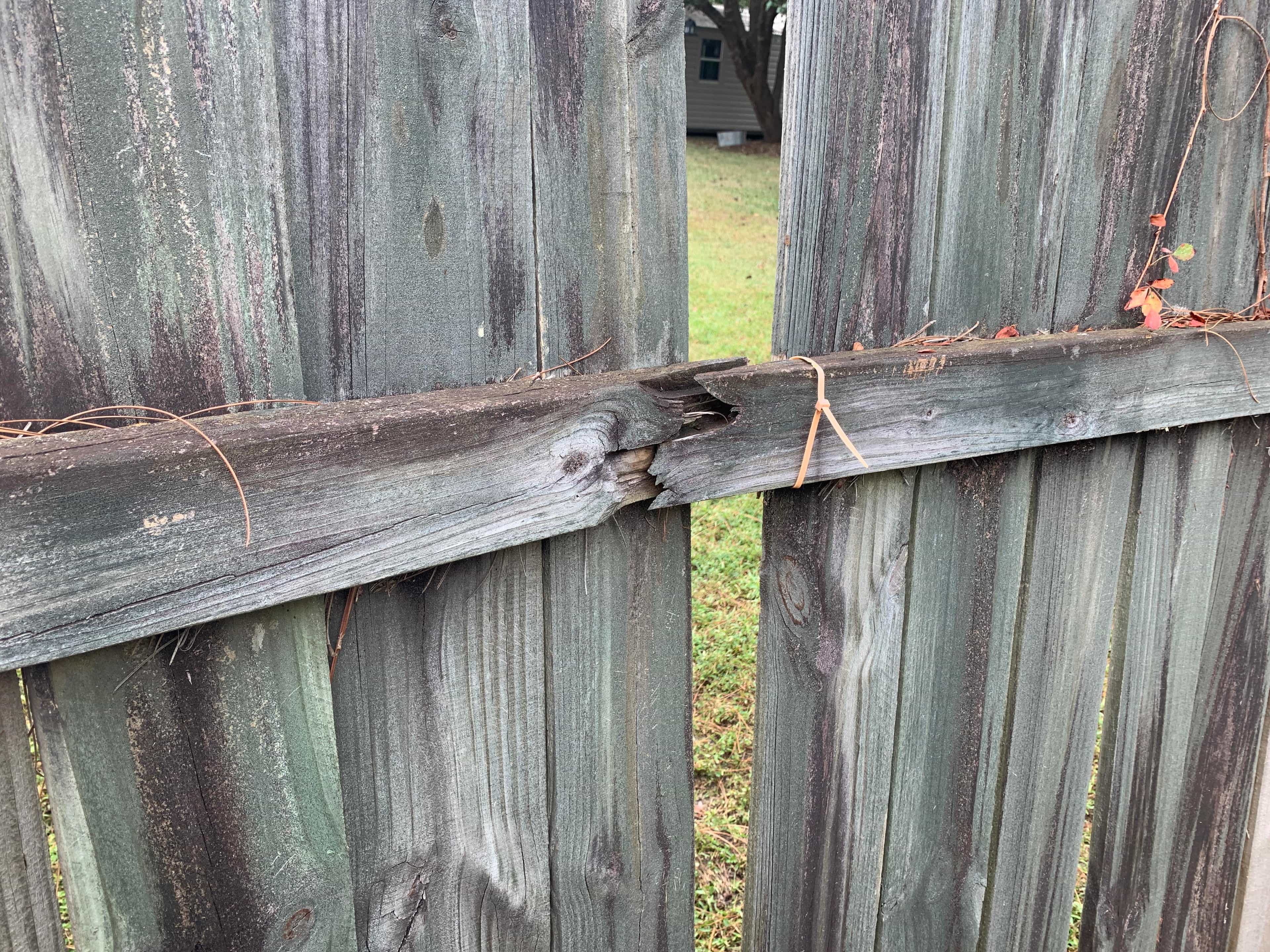 New timber boundary fence installation