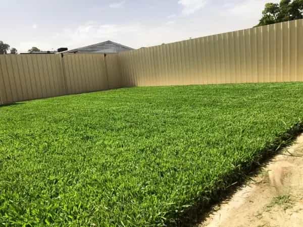 Turf installation project in Melbourne