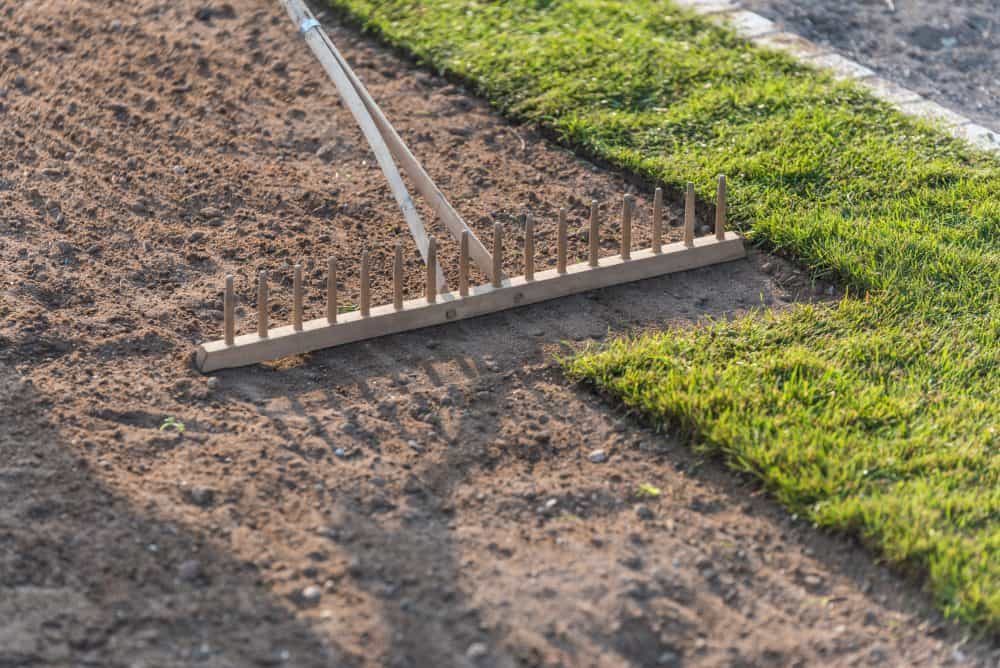 Backyard lawn levelling with sand top dressing